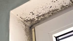 doorway mold in the cold