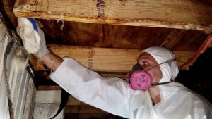 remediation for attic mold