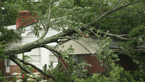severe summer weather