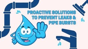 proactive solutions to prevent leaks and pipe bursts